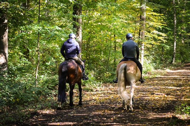 Equine Info Exchange - Trail Riding